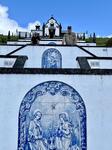 IMG_6393.jpeg