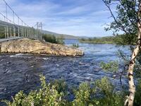 IMG_7031.jpeg