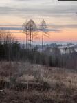 IMG_6303.jpeg