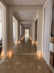 IMG_6427.jpeg