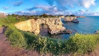 IMG_7593.jpeg
