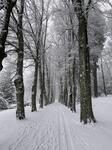 IMG_6418.jpeg
