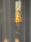 IMG_6301.jpeg