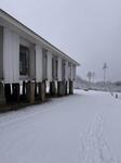 IMG_6401.jpeg