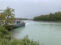 IMG_7024.jpeg