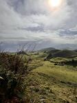 IMG_0461.jpeg