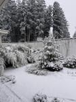 IMG_6403.jpeg