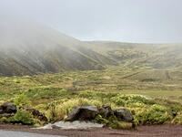 IMG_0473.jpeg