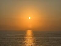 IMG_4871.jpeg