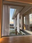IMG_6306.jpeg
