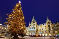 IMG_0022.jpeg