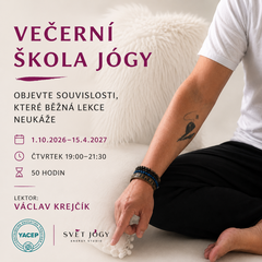 Večerní škola jógy (YACEP) – objevte souvislosti a pronikněte hlouběji
