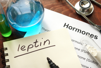 Role hormonů ve výživě a metabolismu - 1. část