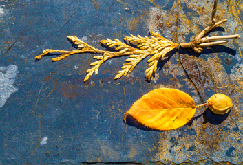 WABI-SABI: Krása (v) nedokonalosti 