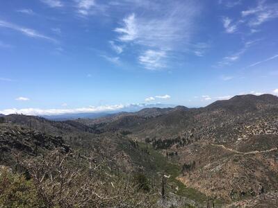 IMG_9754.JPG