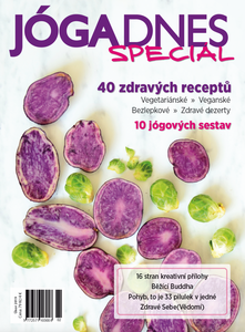 Snímek obrazovky 2018-12-14 v 8.31.01