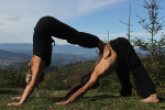 asana3