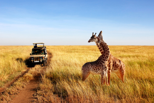 Tanzanie – čistá a voňavá Afrika