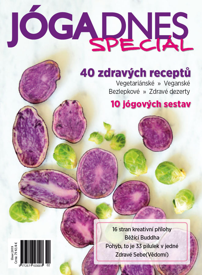 První Jóga DNES Speciál roku 2019 vychází již 1. února!