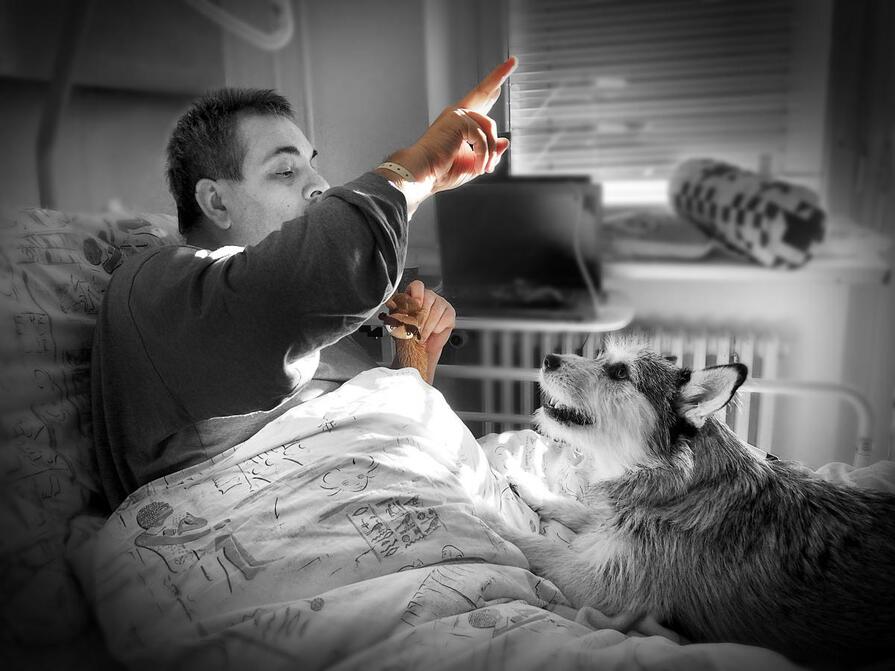 Human–dog bonding přináší jeden z nelékových způsobů, jak se cítit dobře