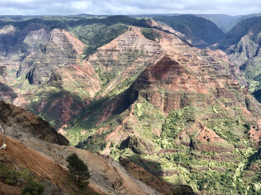 Kauai, aneb #přírodnískvostyacojesprávně