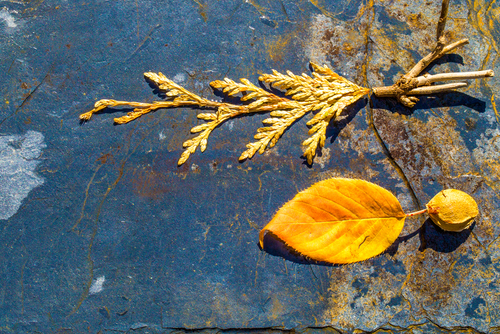 WABI-SABI: Krása (v) nedokonalosti 