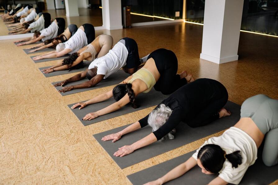 Letní cena kurzů pro nové Instruktory jógy (akreditace Yoga Alliance, MŠMT)